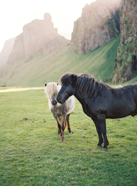 Iceland Adventure Photographer